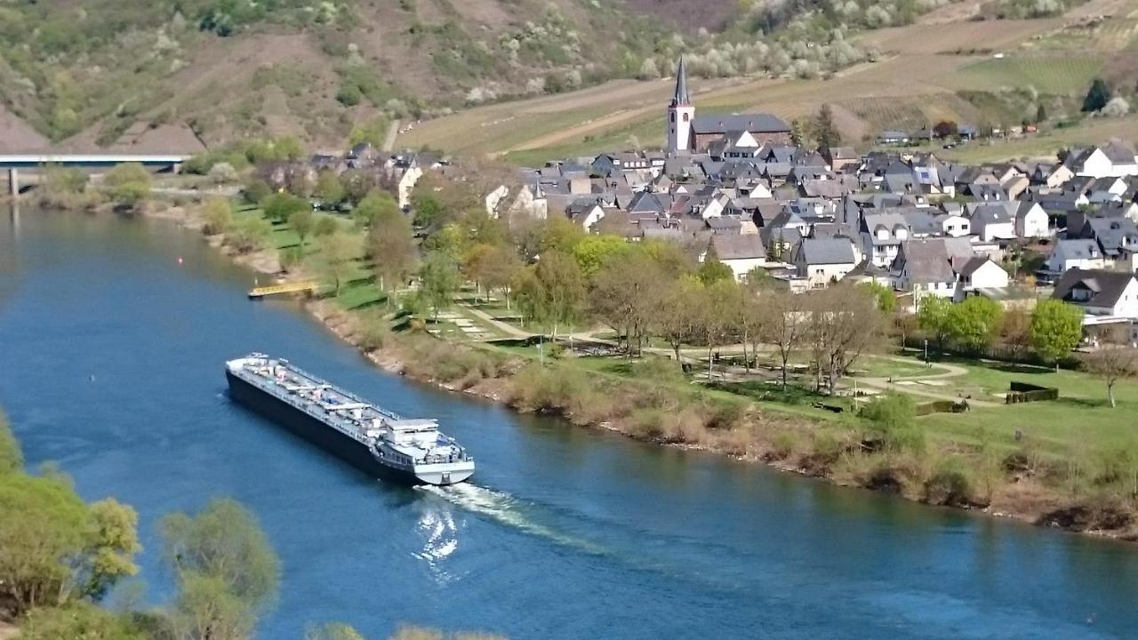 Ferienwohnungen Am Bruttiger Moselsteig Exteriör bild