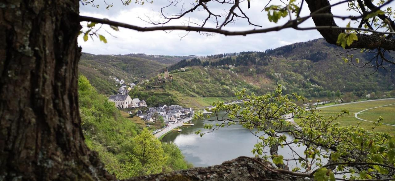 Ferienwohnungen Am Bruttiger Moselsteig Exteriör bild