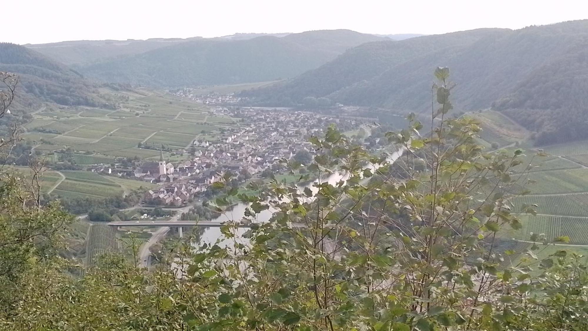 Ferienwohnungen Am Bruttiger Moselsteig Exteriör bild
