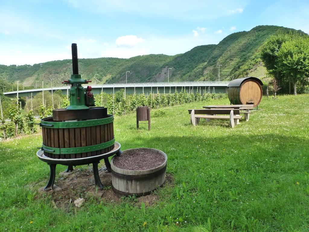 Ferienwohnungen Am Bruttiger Moselsteig Rum bild