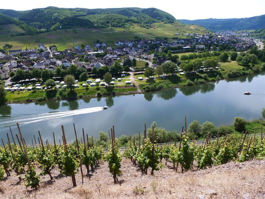 Ferienwohnungen Am Bruttiger Moselsteig Exteriör bild