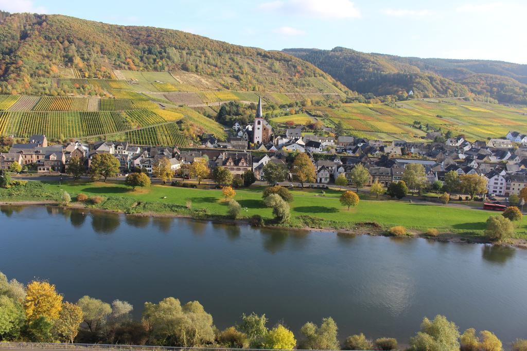 Ferienwohnungen Am Bruttiger Moselsteig Exteriör bild