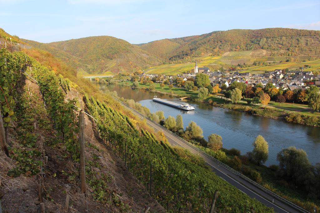 Ferienwohnungen Am Bruttiger Moselsteig Exteriör bild
