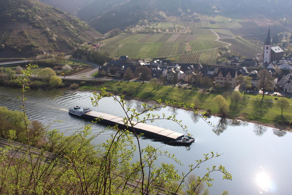 Ferienwohnungen Am Bruttiger Moselsteig Exteriör bild