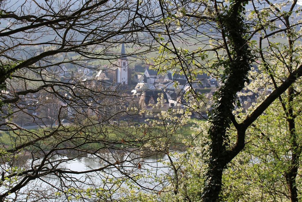 Ferienwohnungen Am Bruttiger Moselsteig Exteriör bild