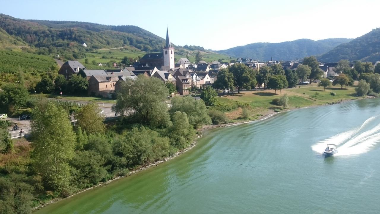 Ferienwohnungen Am Bruttiger Moselsteig Exteriör bild