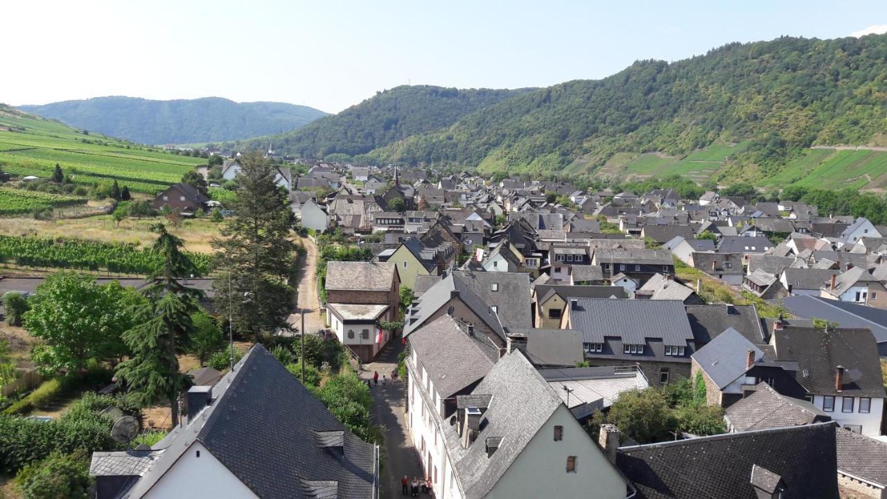 Ferienwohnungen Am Bruttiger Moselsteig Exteriör bild