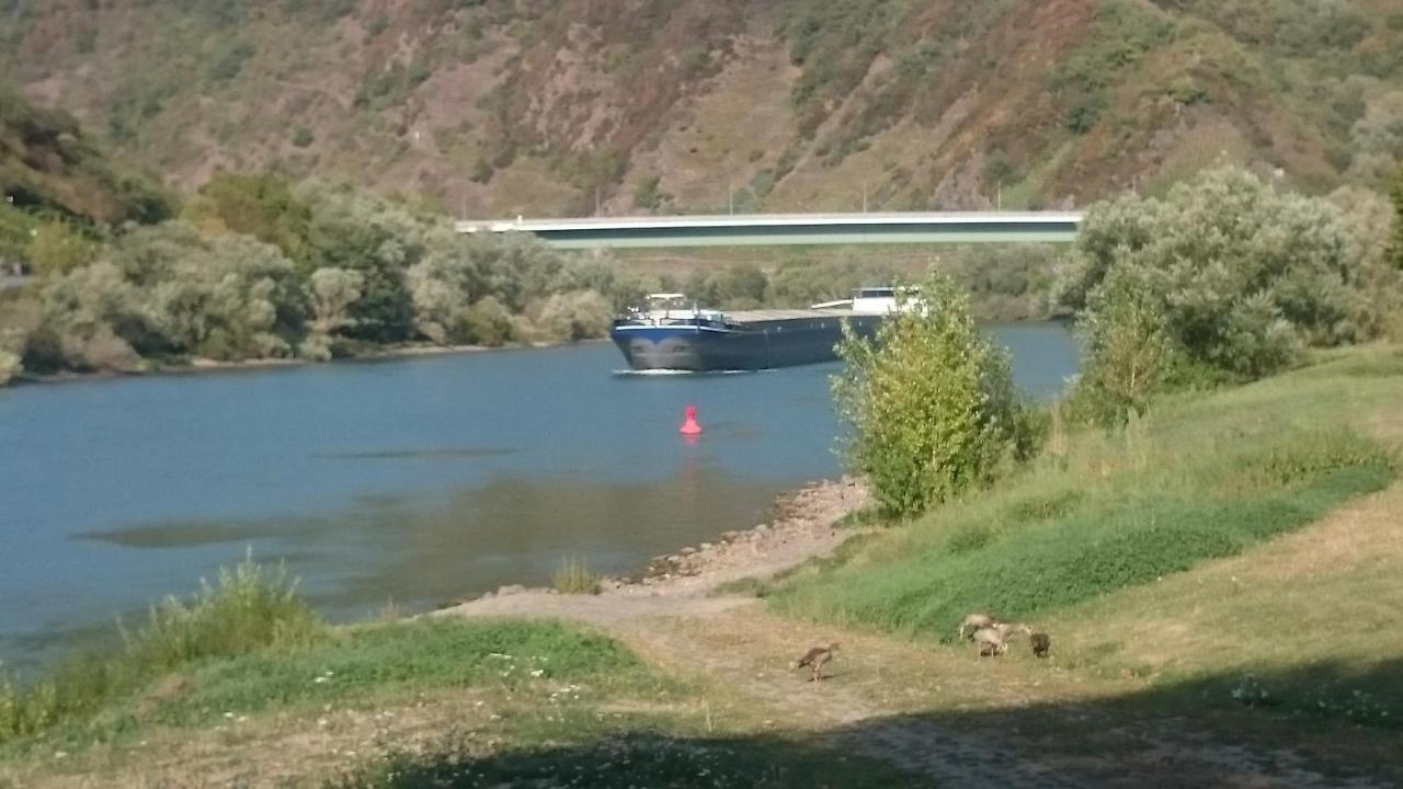 Ferienwohnungen Am Bruttiger Moselsteig Exteriör bild