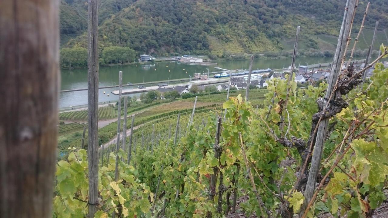Ferienwohnungen Am Bruttiger Moselsteig Exteriör bild