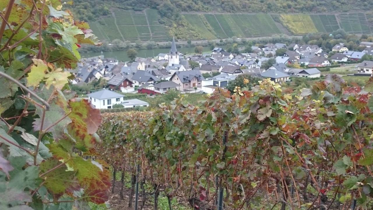 Ferienwohnungen Am Bruttiger Moselsteig Exteriör bild